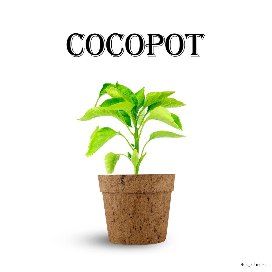 Coco Pot Set - 3.5 x 4 Inches | 5 Pcs/ Coir Pot/ Coir Plant Pot